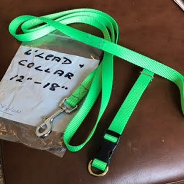 Leash and collar set