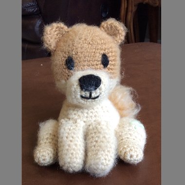 #3 7 inch Pomeranian