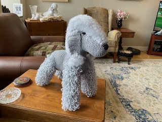 54-bedlington-terrier.jpg