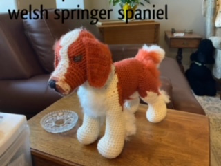 62-welshspringerspaniel.jpg