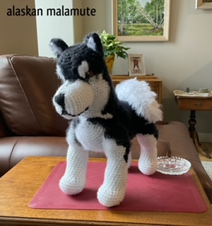 63-malamute.jpg